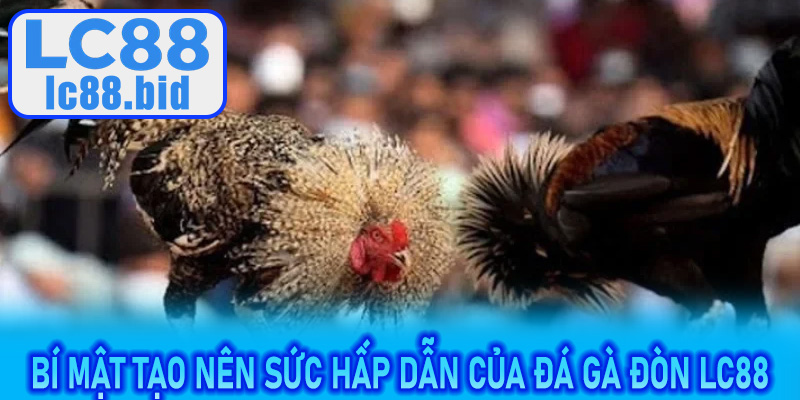 Bí mật tạo nên sức hấp dẫn của Đá Gà Đòn LC88