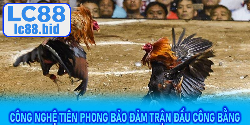 Công nghệ tiên phong bảo đảm trận đấu Đá Gà Đòn LC88 công bằng